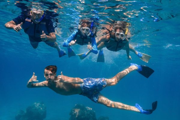 snorkel group