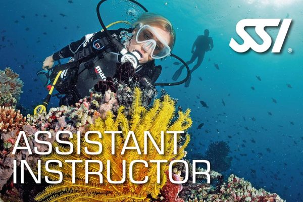 ssi-assistant-instructor